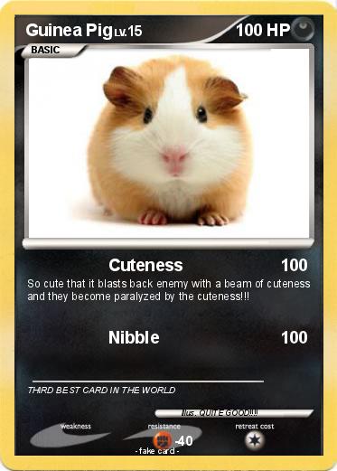 Pokemon Guinea Pig