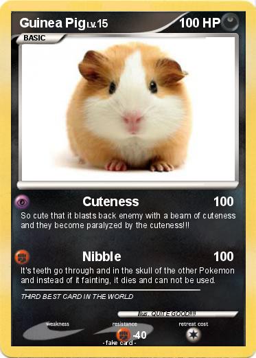 Pokemon Guinea Pig