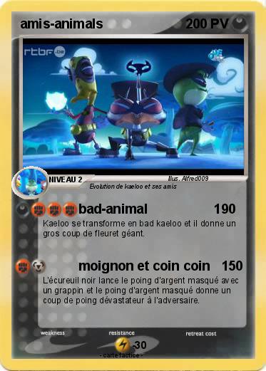 Pokemon amis-animals