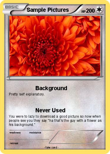 Pokemon Sample Pictures
