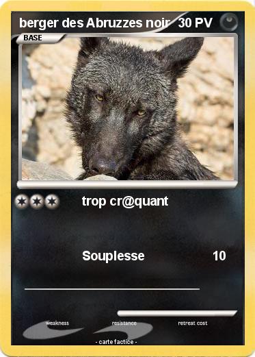 Pokemon berger des Abruzzes noir