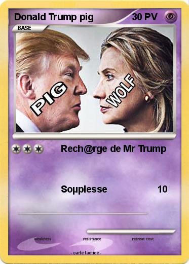 Pokemon Donald Trump pig