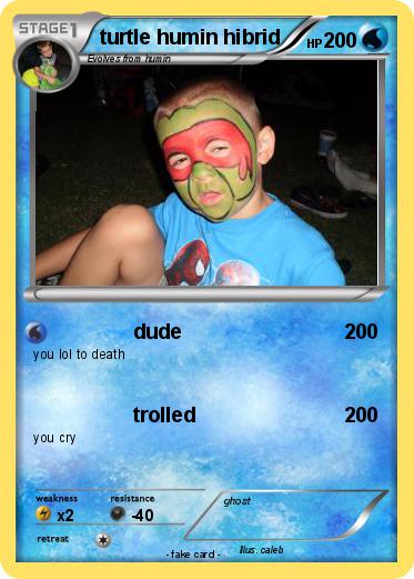 Pokemon turtle humin hibrid