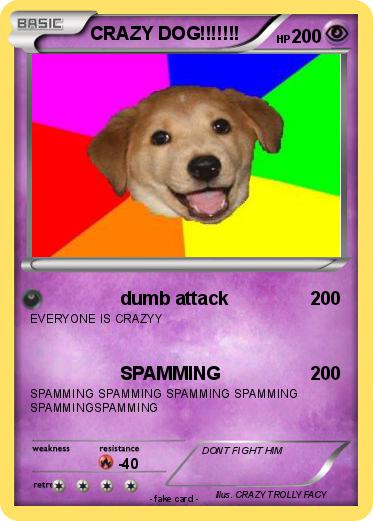 Pokemon CRAZY DOG!!!!!!!