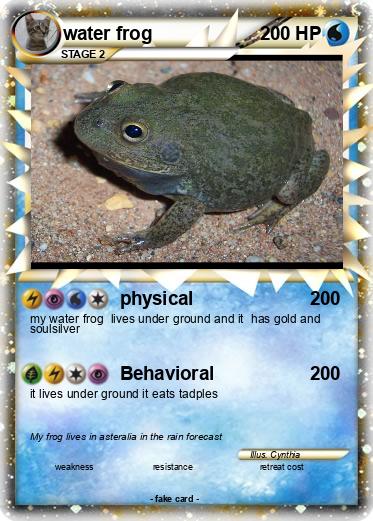 Pokemon water frog