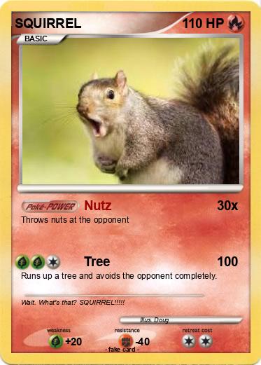 Pokemon SQUIRREL