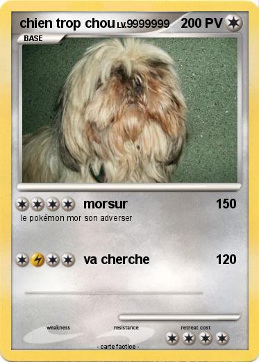 Pokemon chien trop chou