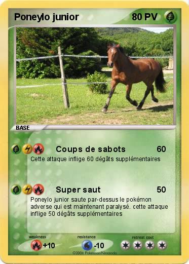 Pokemon Poneylo junior
