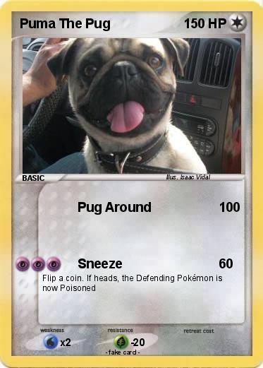 Pokemon Puma The Pug