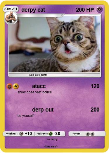 Pokemon derpy cat
