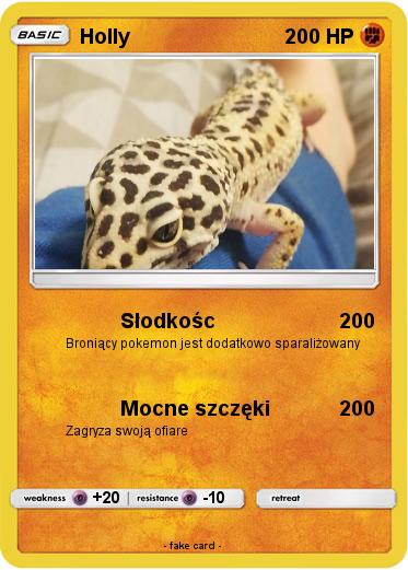 Pokemon Holly