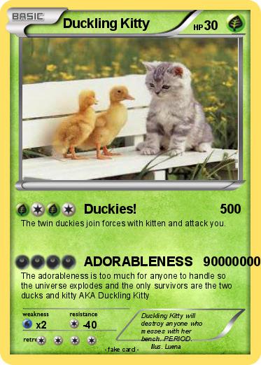 Pokemon Duckling Kitty