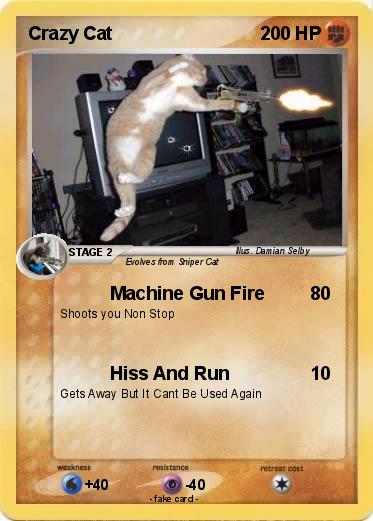 Pokemon Crazy Cat