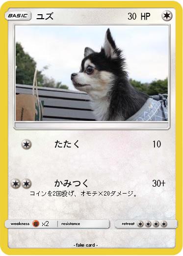 Pokemon ユズ