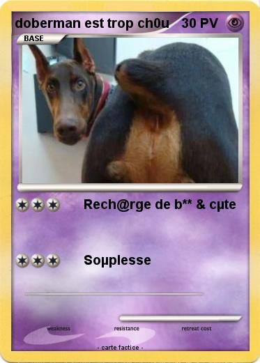Pokemon doberman est trop ch0u