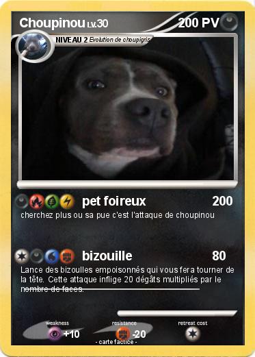 Pokemon Choupinou