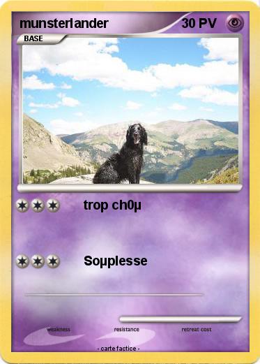 Pokemon munsterlander
