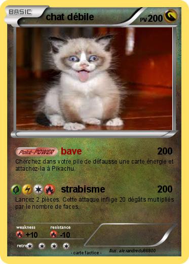 Pokemon chat débile