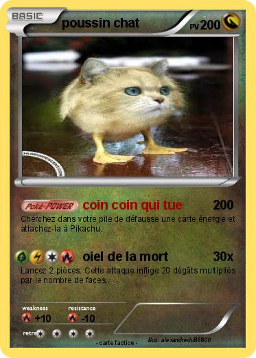 Pokemon poussin chat
