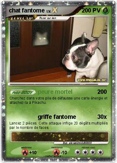 Pokemon chat fantome