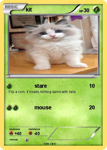 Pokemon kit