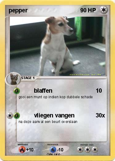 Pokemon pepper