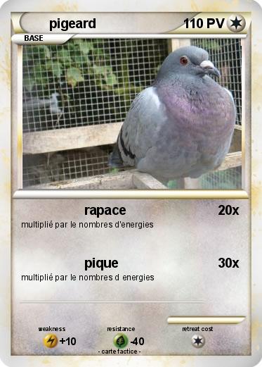 Pokemon pigeard