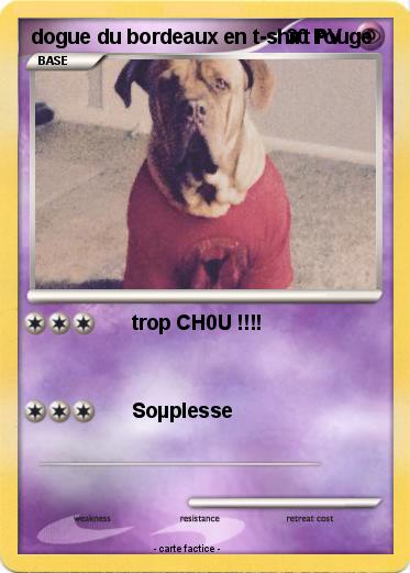 Pokemon dogue du bordeaux en t-shirt rouge