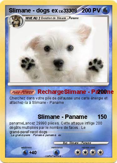 Pokemon Slimane - dogs ex