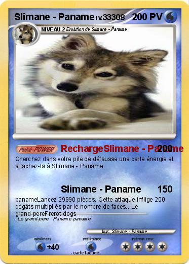 Pokemon Slimane - Paname