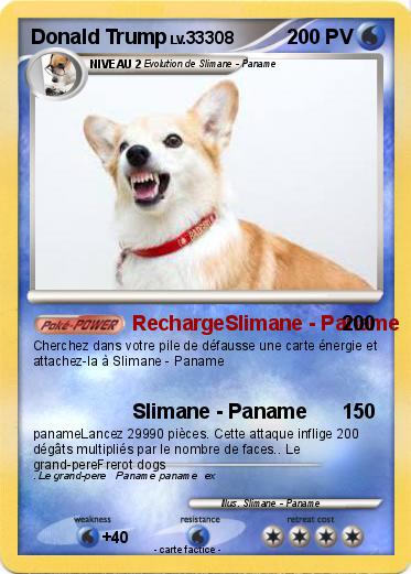 Pokemon Donald Trump