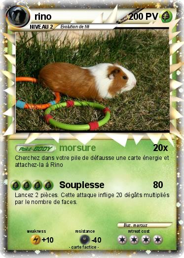 Pokemon rino