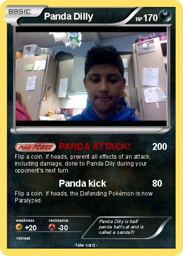 Pokemon Panda Dilly