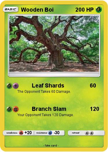 Pokemon Wooden Boi