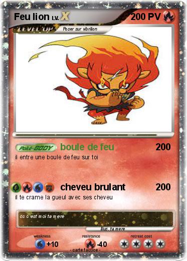 Pokemon Feu lion