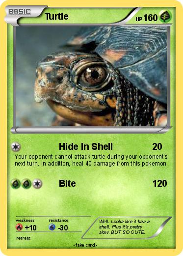Pokemon Turtle