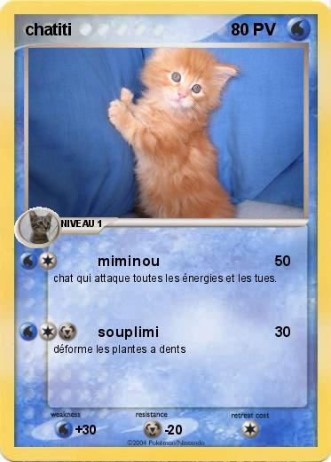 Pokemon chatiti