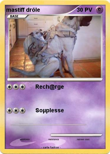 Pokemon mastiff drôle