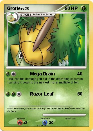 Pokemon Grotle