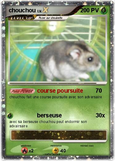 Pokemon chouchou
