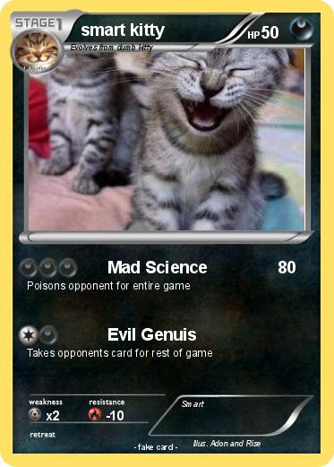 Pokemon smart kitty