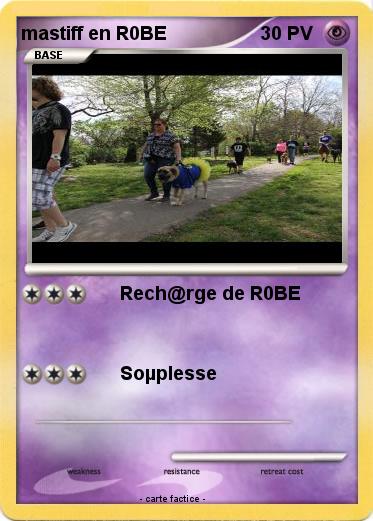 Pokemon mastiff en R0BE