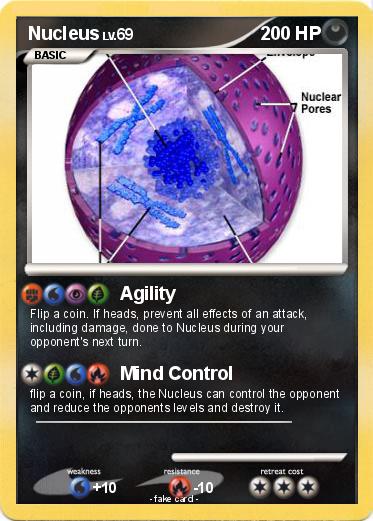 Pokemon Nucleus