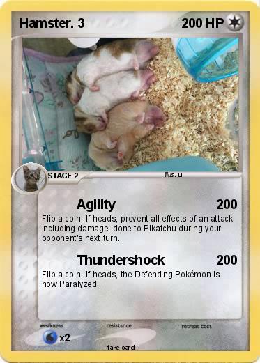 Pokemon Hamster. 3
