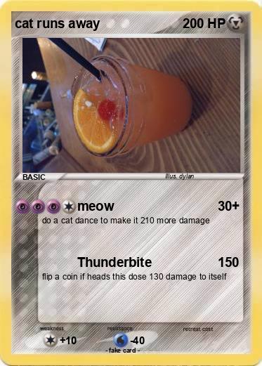 Pokemon cat runs away