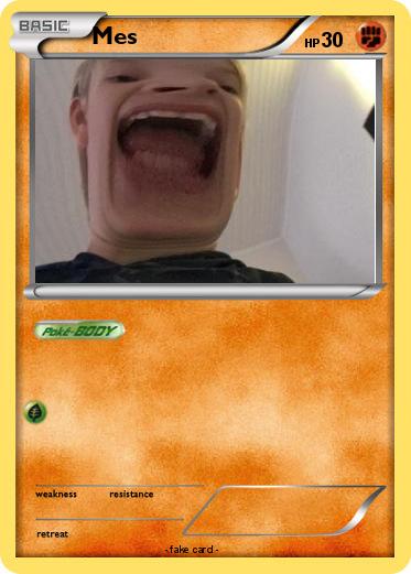 Pokemon Mes
