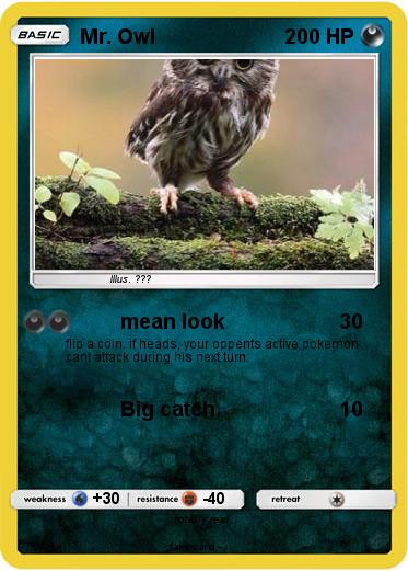 Pokemon Mr. Owl