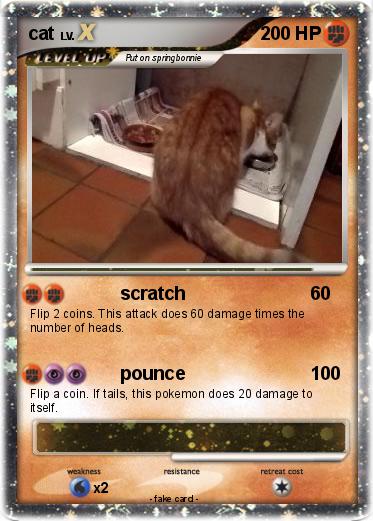 Pokemon cat