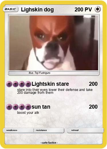 Pokemon Lighskin dog