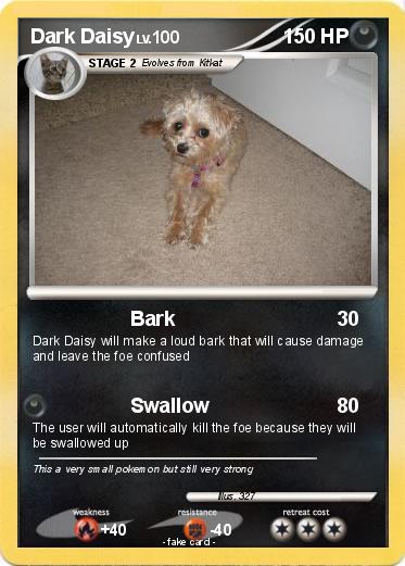 Pokemon Dark Daisy